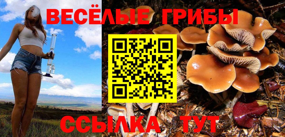Галлюциногенные грибы Cubensis  Вход с VPN  Ялуторовск  Псилоцибиновые грибы MAGIC MUSHROOMS 